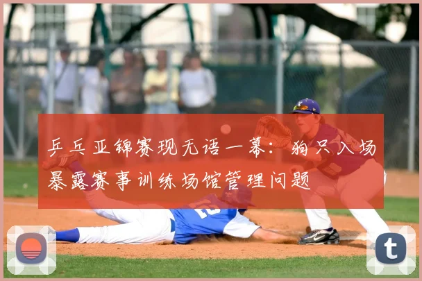 乒乓亚锦赛现无语一幕：狗只入场暴露赛事训练场馆管理问题