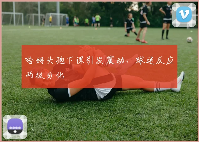 哈姆头孢下课引发震动，球迷反应两极分化