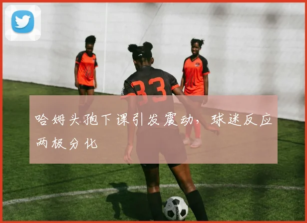 哈姆头孢下课引发震动，球迷反应两极分化
