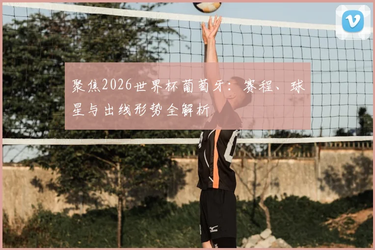 聚焦2026世界杯葡萄牙：赛程、球星与出线形势全解析